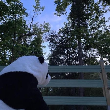La Cabane Du Panda Abrest Eksteriør billede