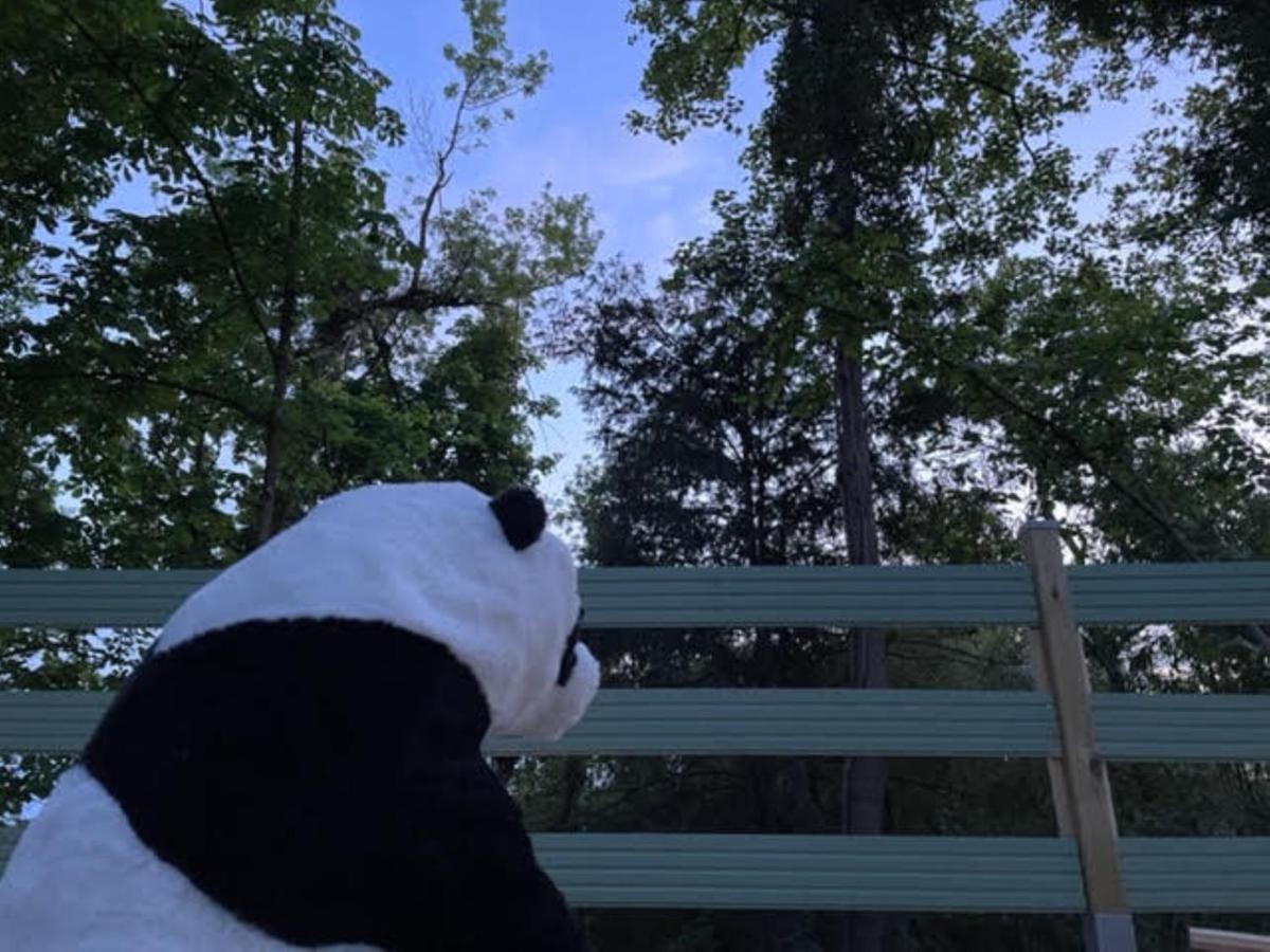 La Cabane Du Panda Abrest Eksteriør billede